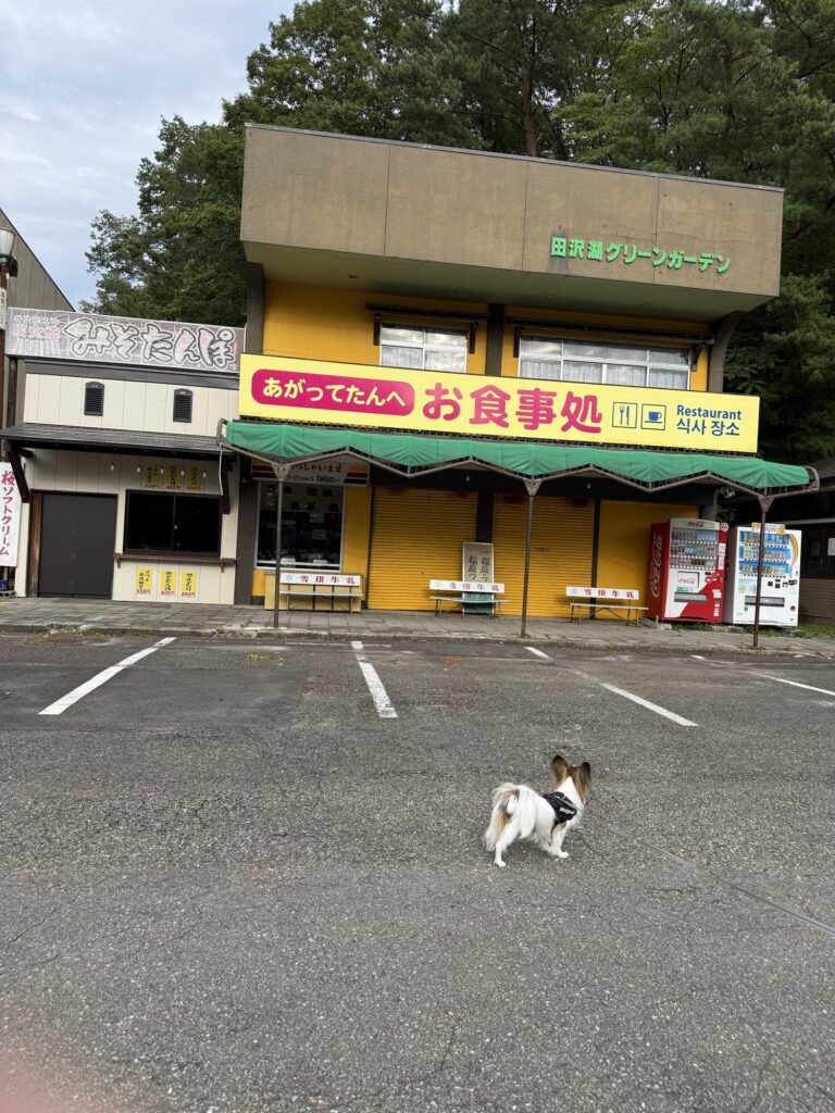 田沢湖畔の食事処と取締役ぶぶぶ